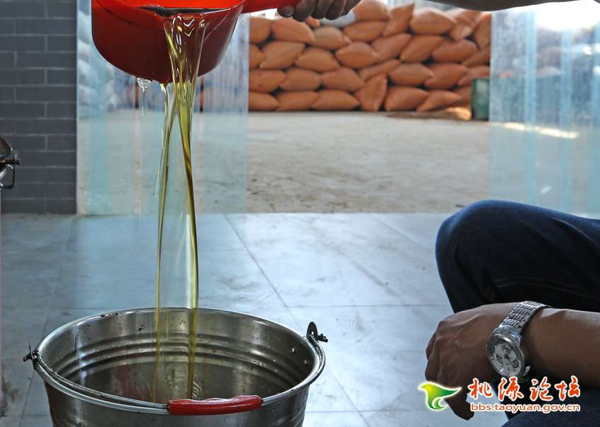 永乐高60net官方网站,油茶种植生产加工销售,植物油种植生产加工销售