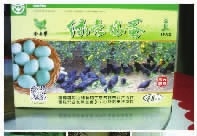 永乐高60net官方网站,油茶种植生产加工销售,植物油种植生产加工销售 永乐高60net官方网站,油茶种植生产加工销售,植物油种植生产加工销售