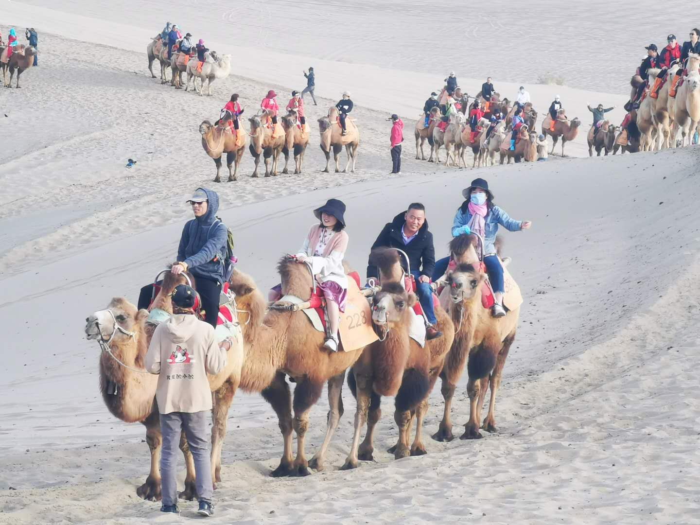 立博·Ladbrokes(中国游)官方网站